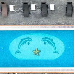 Dolphins and Star Mosaic Panel